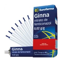 Ginna Cr Vaginal 40g